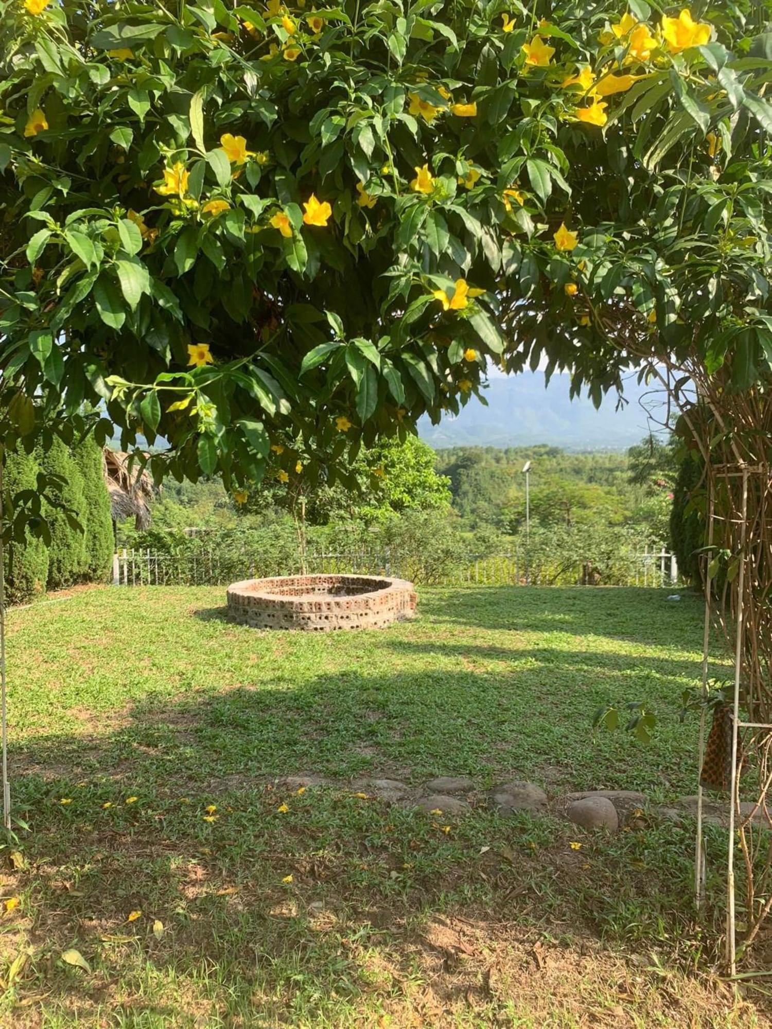 Homestay Nha Cua Mi - Mi'S House 옌바이 외부 사진