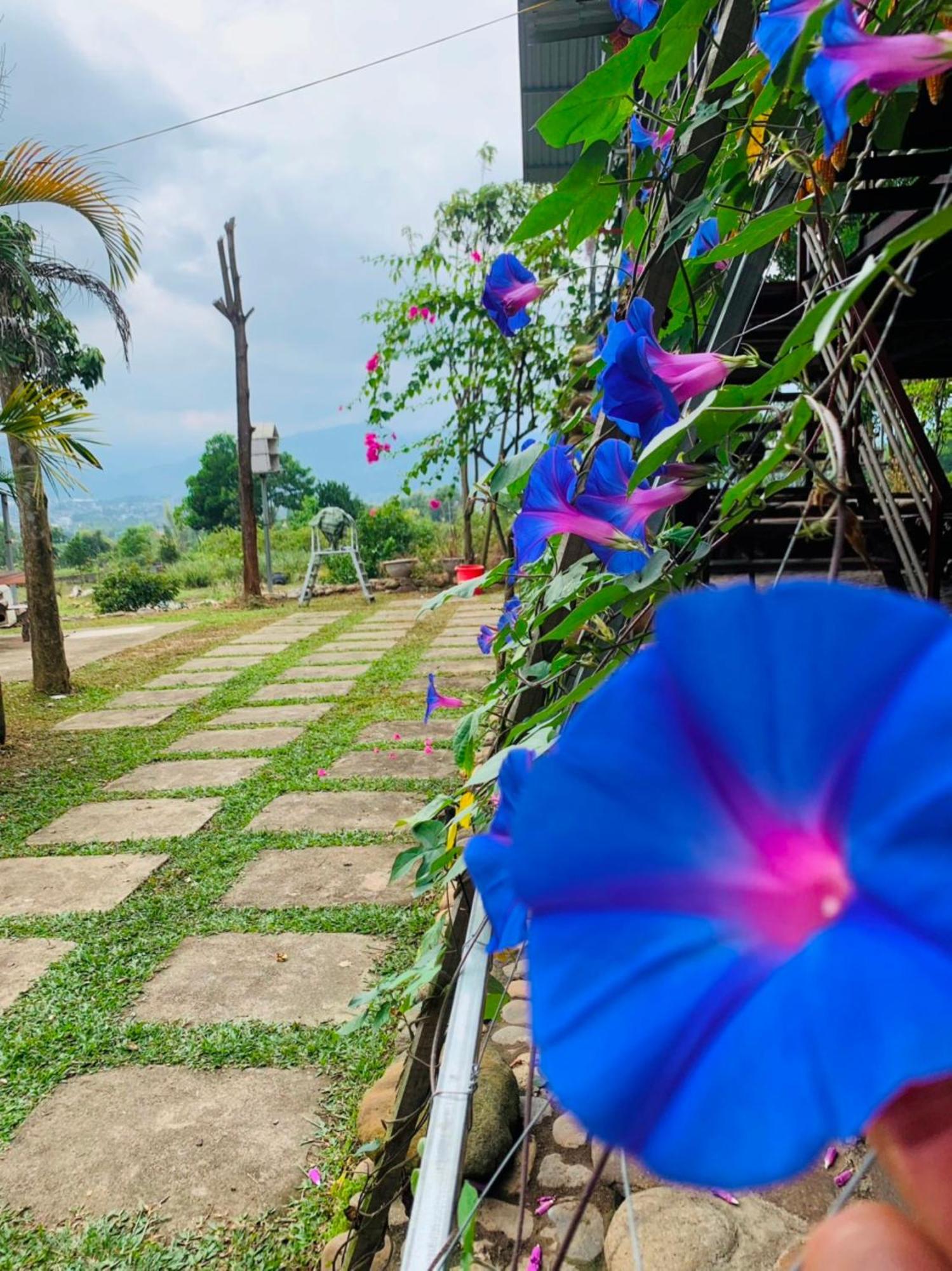 Homestay Nha Cua Mi - Mi'S House 옌바이 외부 사진