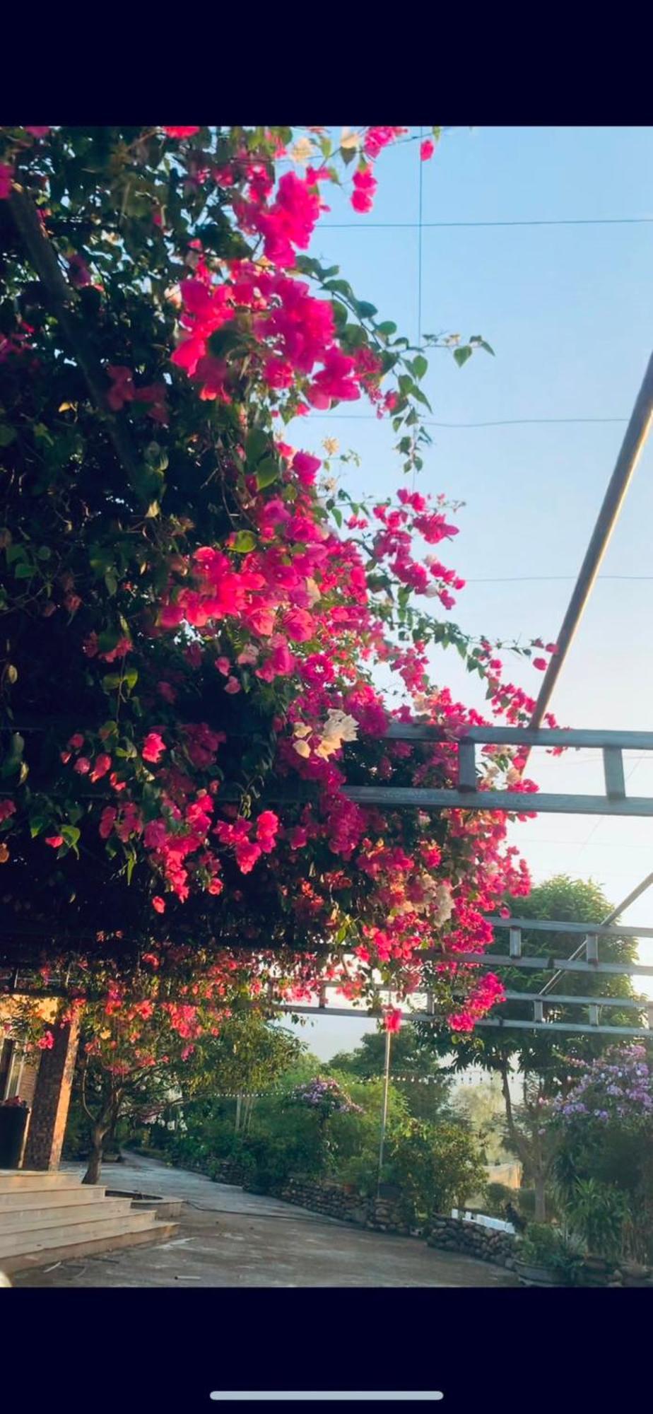 Homestay Nha Cua Mi - Mi'S House 옌바이 외부 사진
